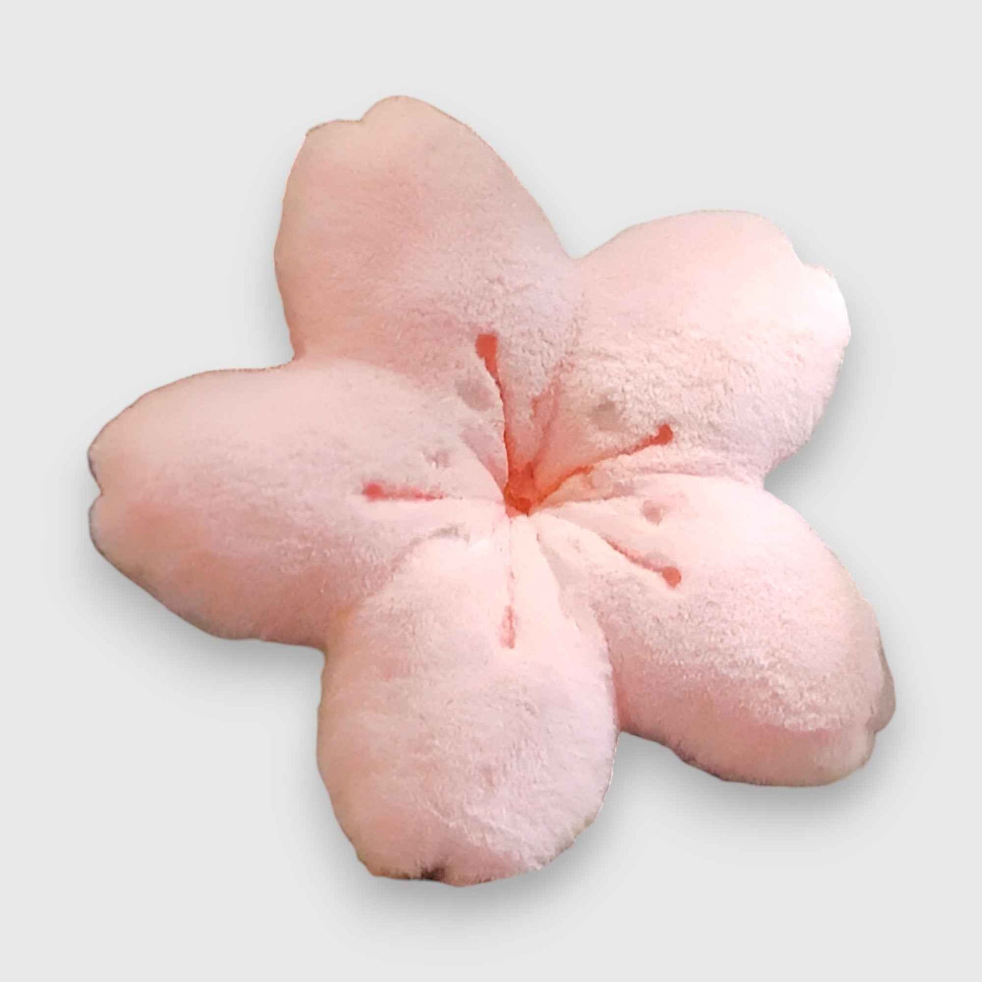 Coussins et oreillers : Coussin Décoratif Fleurs Roses 40x50 cm pour Canapé dans de Marche Lino