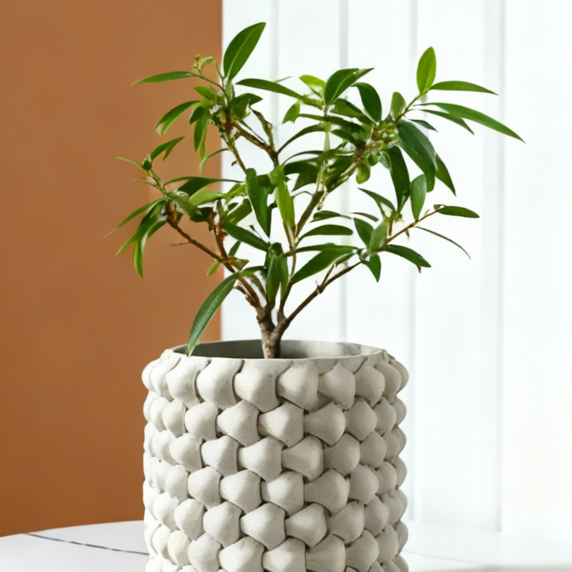 Jardinière au Design Géométrique Moderne