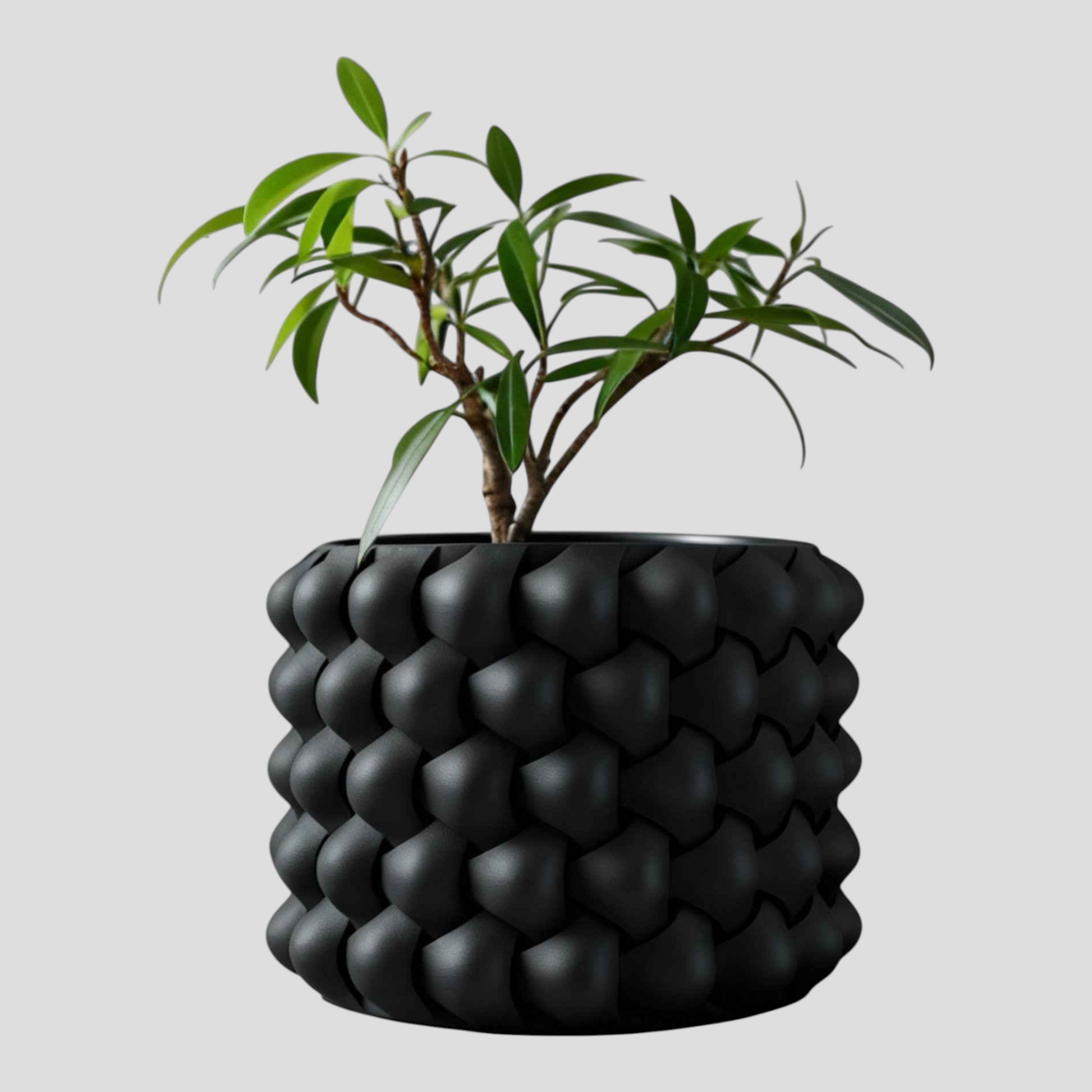 Jardinière au Design Géométrique Moderne