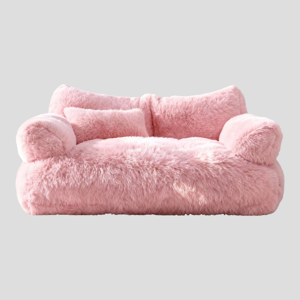 Lit Pour Chien Douillet avec Coussin Inclus