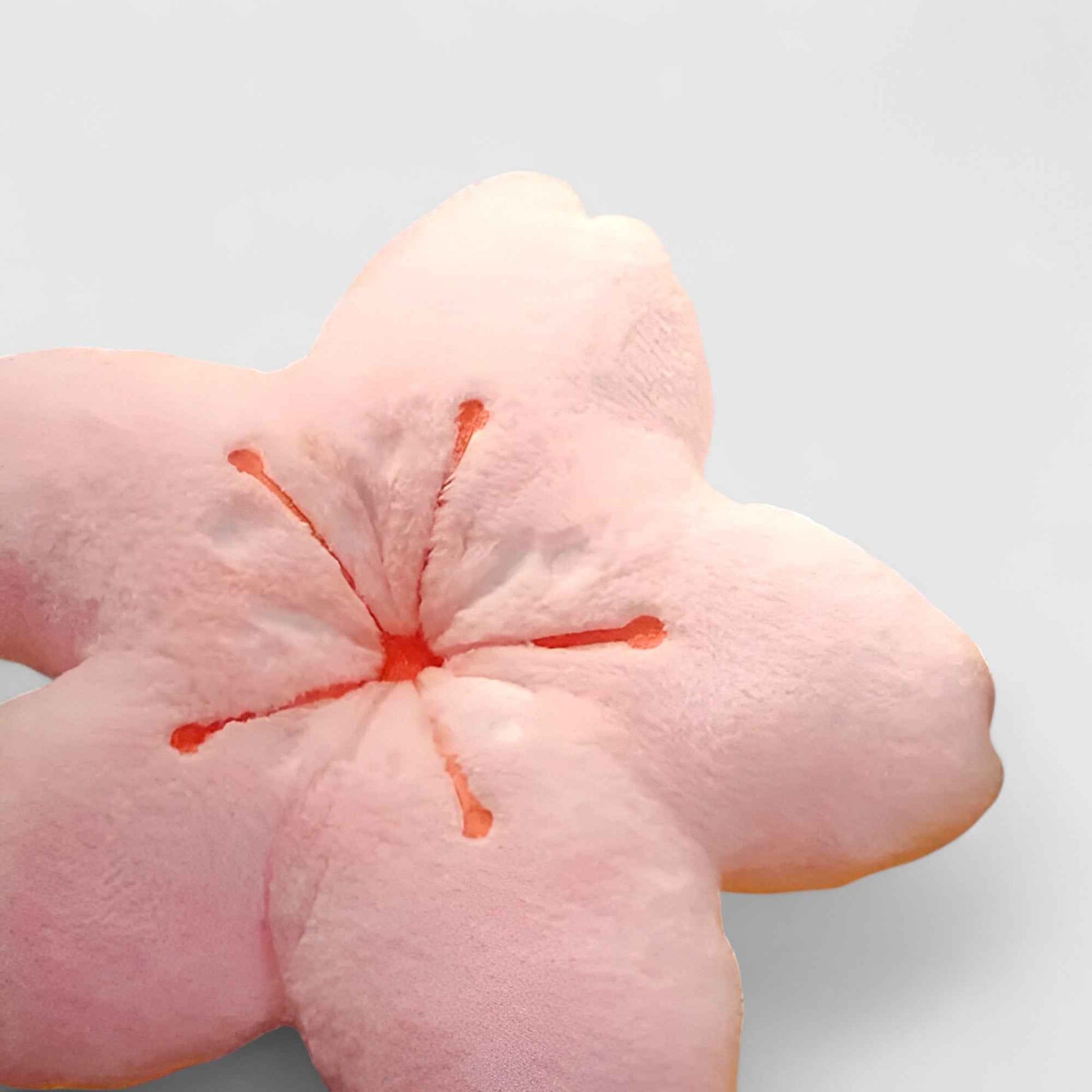 Coussins et oreillers : Coussin Décoratif Fleurs Roses 40x50 cm pour Canapé dans de Marche Lino