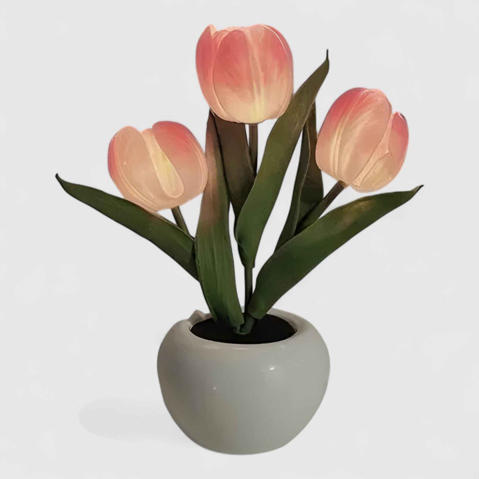 Lampes de table : Lampe de Chevet LED Fleur Tulipe - Éclairage Design et Moderne dans Rose de Marche Lino