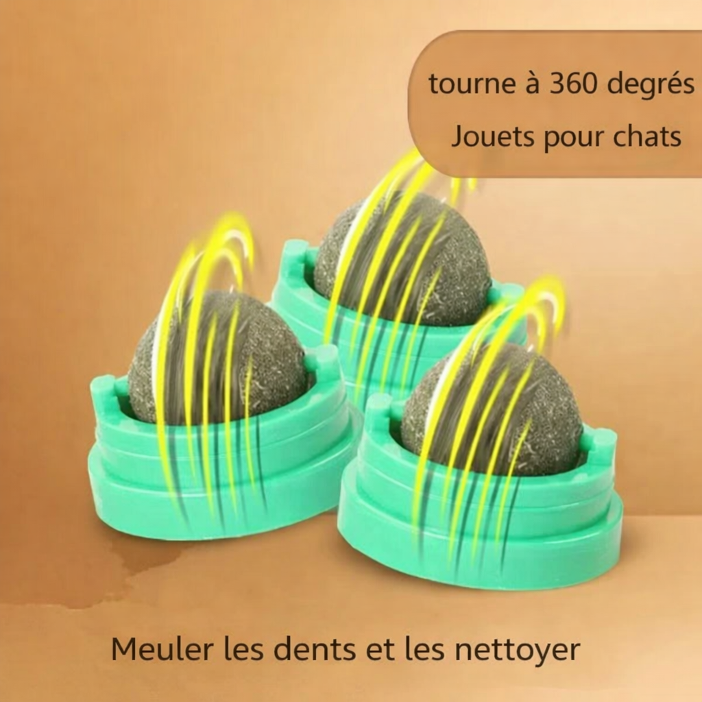 Jouet Pour Chat Avec Herbe Naturelle