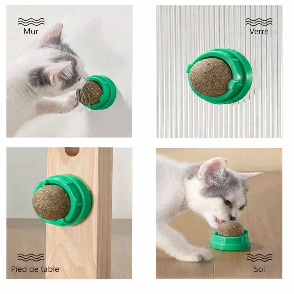 Jouet Pour Chat Avec Herbe Naturelle